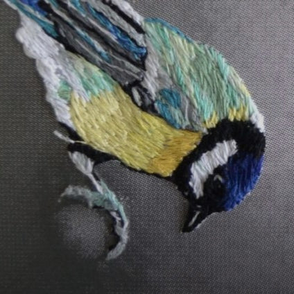 A Great Tit